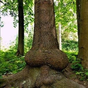 Meet your Posher, Ethan